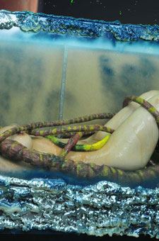 alien-planet-tentacles_026